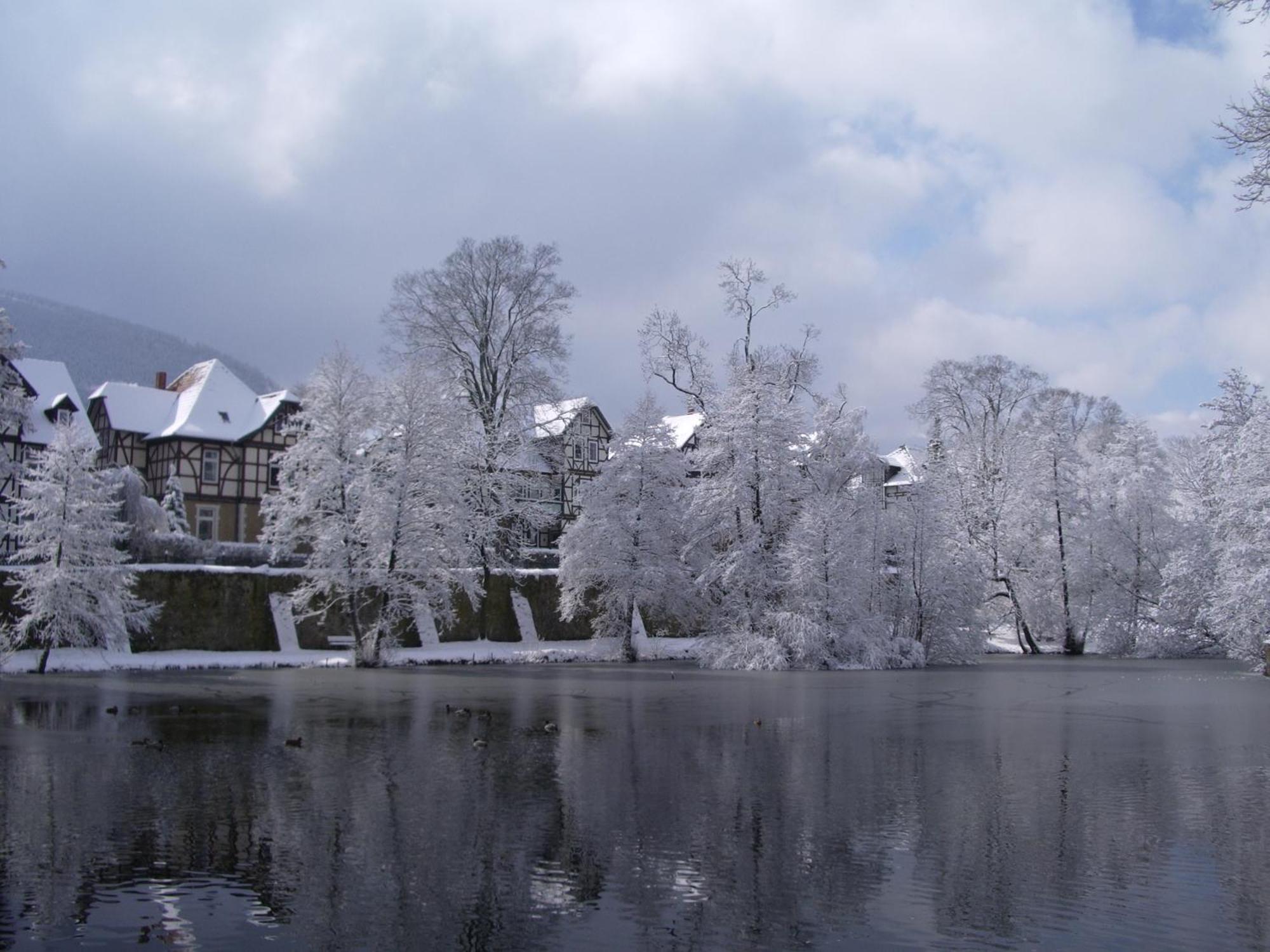 Hotel Hubertus Hof Goslar Esterno foto
